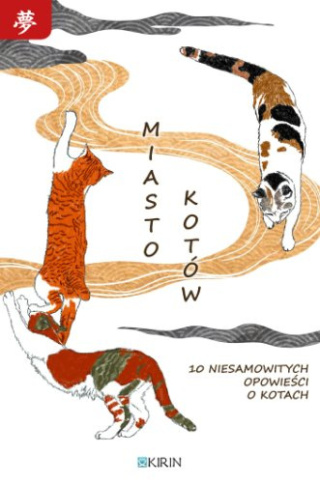 Miasto kotów